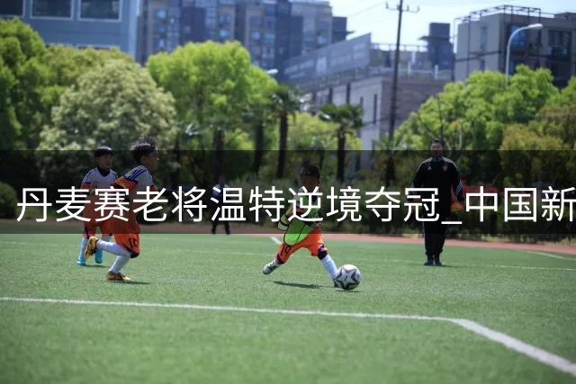 丹麦赛老将温特逆境夺冠 中国新星周彦含并列次席